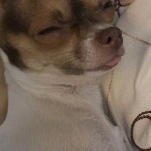 Meet your Posher, Shonda